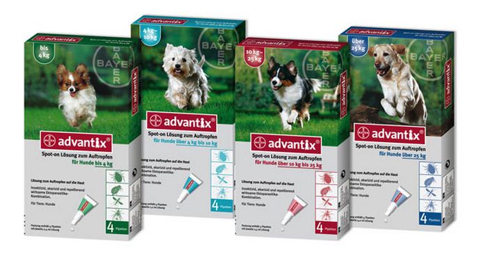 spot-on készítmény