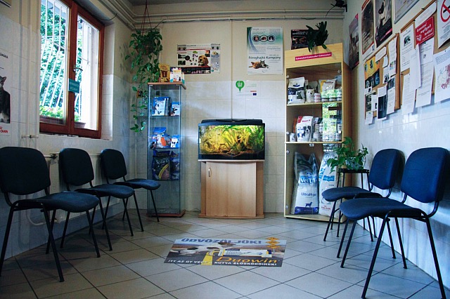 A rendelő váróterme